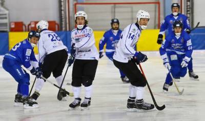 В Сыктывкаре любители хоккея с мячом увидят схватку "медведей" и "белых барсов"