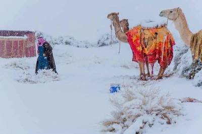 В пустыне Сахара прошел обильный снегопад