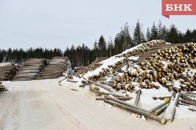 Сколько рабочих мест создают в Коми инвестпроекты по лесопереработке