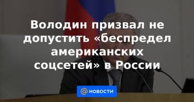 Володин призвал не допустить «беспредел американских соцсетей» в России