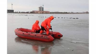 На Сакских озерах спасли вмерзших в лед лебедей - фото, видео