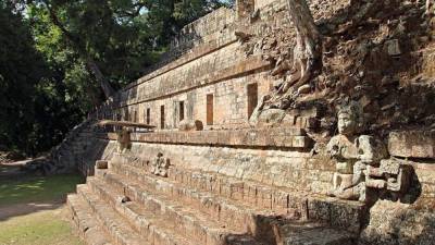 Ученые выяснили, что курили древние майя