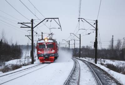 Изменения в маршруте: движение поездов на участке «Мга — Посадниково» остановят 30 января из-за ремонтных работ