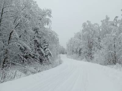 Жителей Ленобласти 20 января ожидает небольшой снег и до минус 16 градусов
