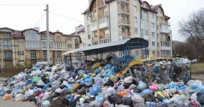 "Умный мусор". Как эффективно решить проблему отходов в Украине