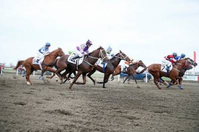 Азартные россияне помогут оживить конный спорт