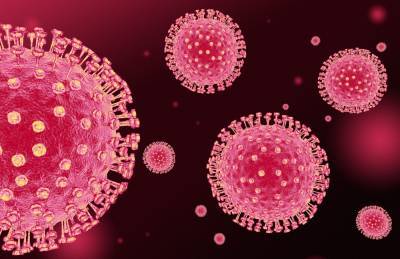 Новый штамм коронавируса обнаружен в Германии