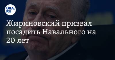 Жириновский призвал посадить Навального на 20 лет