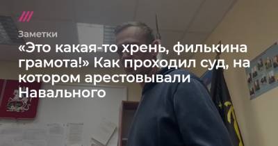 «Это какая-то хрень, филькина грамота!» Как проходил суд, на котором арестовывали Навального