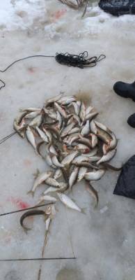 Представителям коренных народов Севера на Ямале разрешат добывать в 6,3 раза больше рыбы
