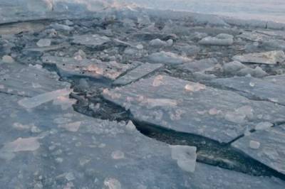 В Киеве пара с собакой провалилась под лед на озере: фото