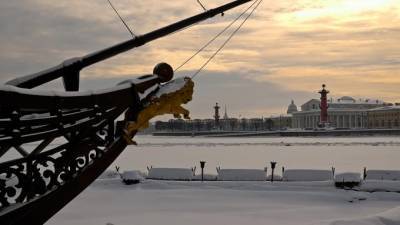Синоптики рассказали о погоде в Петербурге 20 января