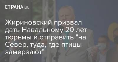 Жириновский призвал дать Навальному 20 лет тюрьмы и отправить "на Север, туда, где птицы замерзают"