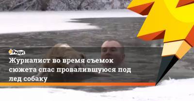 Журналист во время съемок сюжета спас провалившуюся под лед собаку