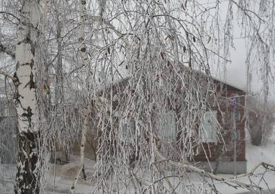 В Рязанской области потеплеет до -12 °С