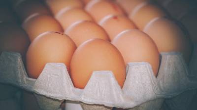 Более 302 тысяч французских яиц не пустили в Ленобласть