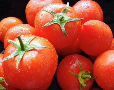 Казахстан пригрозил РФ ответными мерами из-за ограничения ввоза томатов