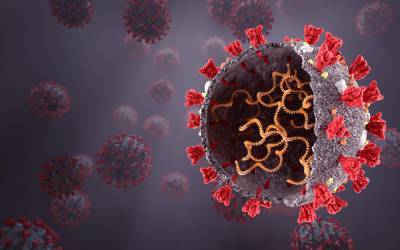 В Германии выявлена новая мутация коронавируса
