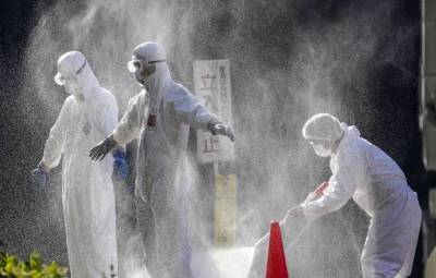 Вспышка птичьего гриппа в Японии стала самой масштабной за всю историю страны
