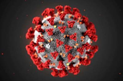 Симон Мацкеплишвили: «Использование плазмы крови вакцинированных людей нежелательно из-за специфики иммунного ответа»