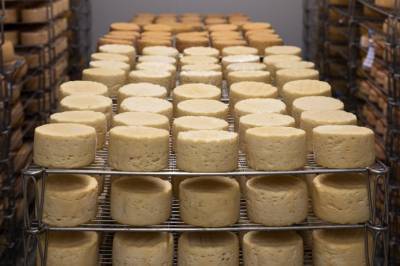 Импорт сыра в Украину вырос более чем в два раза