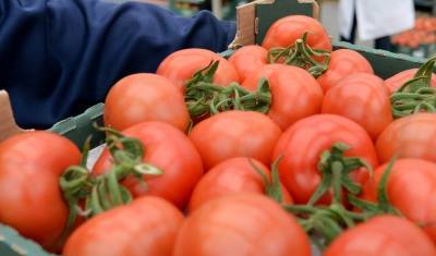 Казахстан после ограничения на ввоз томатов пригрозил России ответными мерами