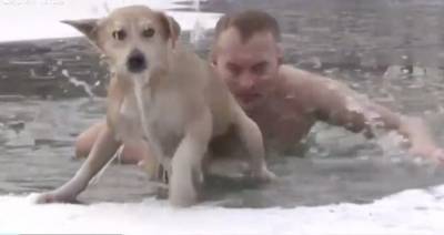 Белгородский журналист спас тонущую собаку из ледяной воды