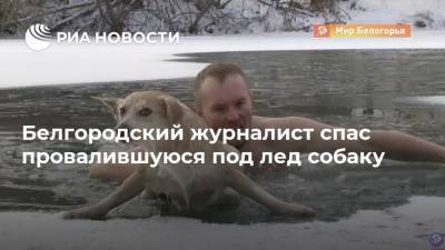 Белгородский журналист спас провалившуюся под лед собаку