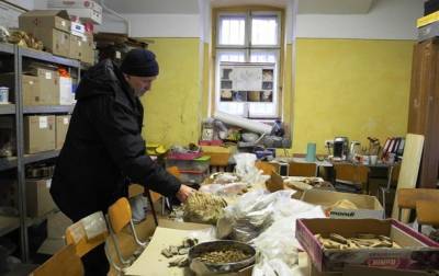 В Черновицкой области обнаружили зуб мамонта