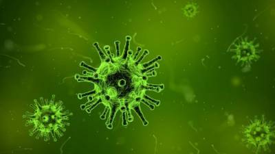 Специалисты опровергли миф о том, что при COVID-19 не стало гриппа