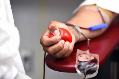 13 359 литров крови заготовили владимирские трансфузиологи