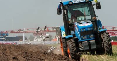 Калининградские сельхозпроизводители повышают цены на пшеницу