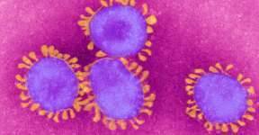 Подтвержден долгий иммунитет против коронавируса после выздоровления