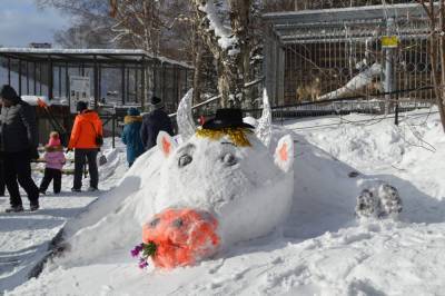 В Сахалинском зоопарке подвели итоги конкурса снежных фигур