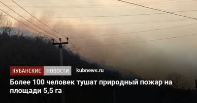 Более 100 человек тушат природный пожар на площади 5,5 га
