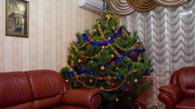 Без шума и иголок: как быстро убрать елку после праздников