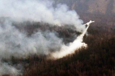 На границе Туапсе и Сочи продолжается тушение лесного пожара