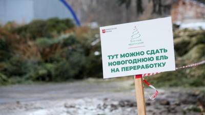 В Москве началась акция по утилизации новогодних елей