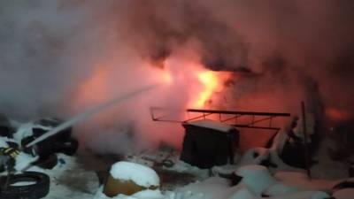 В Башкирии в первые дни нового года в пожарах умерли три человека
