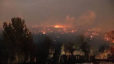 В нескольких районах Кубани из-за фейерверков загорелся лес