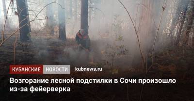 Возгорание лесной подстилки в Сочи произошло из-за фейерверка