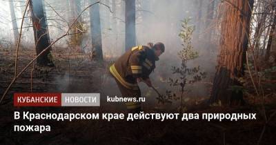 В Краснодарском крае действуют два природных пожара