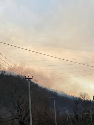 В окрестностях Сочи продолжают тушить крупный лесной пожар