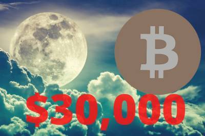Курс Bitcoin впервые превысил 30 тысяч долларов