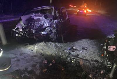 Смертельная авария под Гатчиной унесла жизнь водителя Ford
