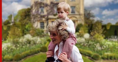 Фотография принца Гарри и леди Дианы вызвала ярость у принца Уильяма