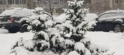 Снег в Карелии будет идти и 3 января