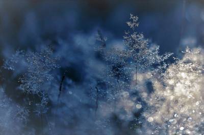 Морозы до -4: Синоптики дали прогноз погоды на январь