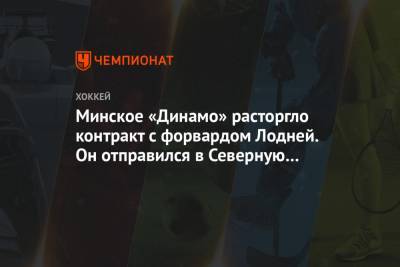 Минское «Динамо» расторгло контракт с форвардом Лодней. Он отправился в Северную Америку