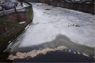 В реку Карповку выбросили около сотни французских багетов